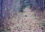 "END OF THE LINE" IMAGE COPYRIGHT MR. BOB CLOUSTON